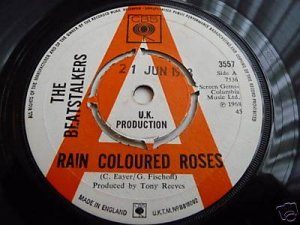 Rain Coloured Roses Promo