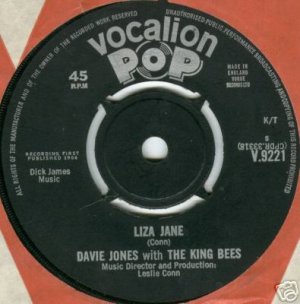 Liza Jane / Louie Louie Go Home
